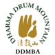 DDMBA Chicago