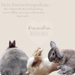 Wir bewerten eure Kaninchen Accounts 💓🐇