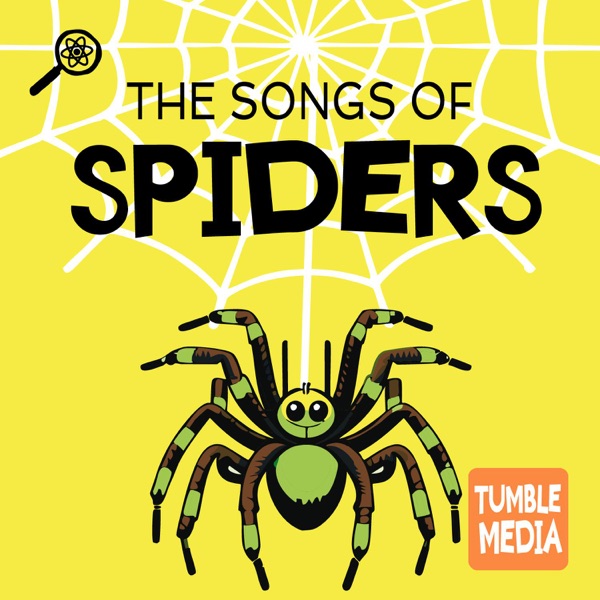 The Songs of Spiders photo