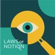 Laws of Notion