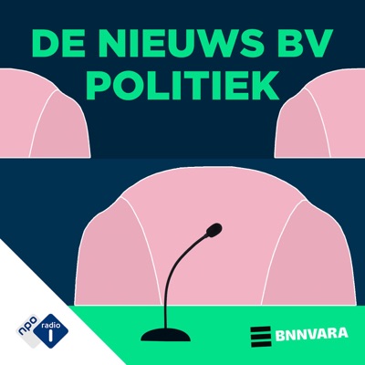 De Nieuws BV Politiek De Nieuws BV Politiek