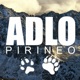 Asociación por la Defensa del Lobo y el Oso en el Pirineo