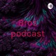 Bros podcast