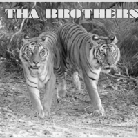 THA BROTHERS podcast