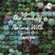 The Soul Of Nature With Taniya