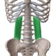 Understanding Pain vs Imaging