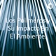 Los Polímeros y Su Impacto En El Ambiente.