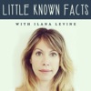 Little Known Facts with Ilana Levine artwork