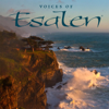 Voices of Esalen - the Esalen Institute