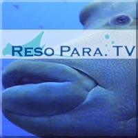 RESO PARA TV