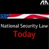 National Security Law Today artwork