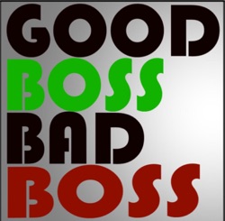 Good Boss Bad Boss Podcast Episode 11 David Gilna