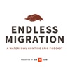 Endless Migration artwork