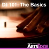 DJ 101: The Basics artwork
