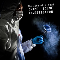 Types of Crime a CSI Can Deal With