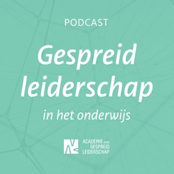 Serie Anders organiseren #1: verkenning van gespreid leiderschap met Dineke van Dijken en Reinier Vergunst
