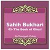 Sahih Bukhari The Book Of Ghusl artwork