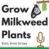 Grow Milkweed Plants artwork