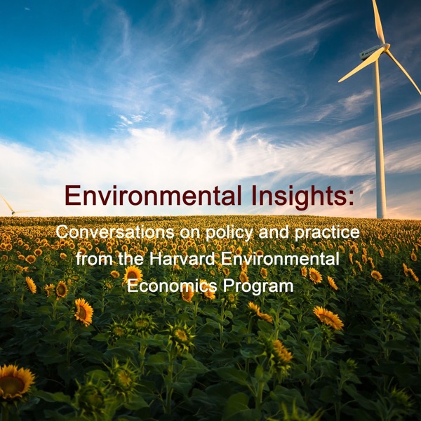 Environmental Insights: Conversations on policy and practice from the Harvard Environmental Economics Program cover art