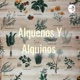 Alquenos Y Alquinos 