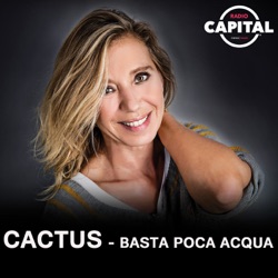 Cactus - Basta poca acqua