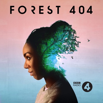 Forest 404 Forest 404