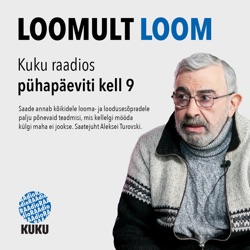 Loomult Loom 2021-08-29