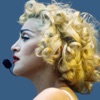 Inside The Groove - Madonna's Music artwork