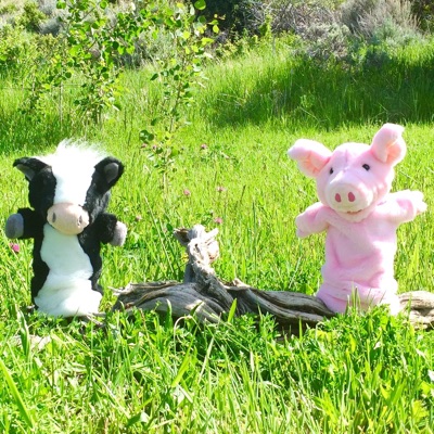 Pinkie The Pig Podcast Pinkie The Pig Podcast