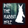 Into The Rabbit Hole artwork