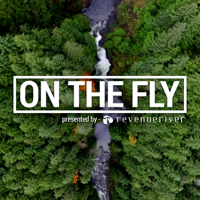 On The Fly podcast