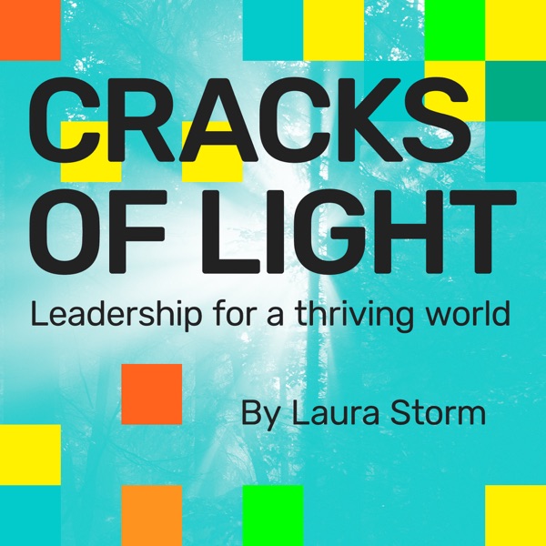 Cracks of Light: Leadership for a Thriving World
