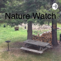 Nature Watch (Trailer)