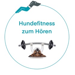 Hundefitness zum Hören