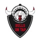 Bulls On Tap: A Chicago Bulls Podcast