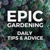 Epic Gardening: Daily Growing Tips and Advice - Kevin Espiritu | Urban Gardener, Hydroponics Enthusiast, Plant Lover