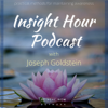 Insight Hour with Joseph Goldstein - Be Here Now Network