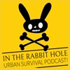 In The Rabbit Hole Urban Survival artwork