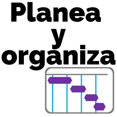 Planea y organiza