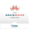 GrainWaves artwork