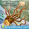 Twenty Thousand Leagues Under the Sea by Jules Verne artwork