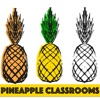 Pineapple Classrooms artwork