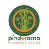 Instituto Pindorama - Permacultura e Casas Ecológicas com Nilson Dias artwork