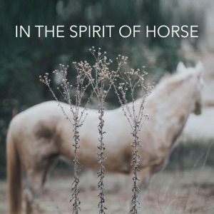 IN THE SPIRIT OF HORSE FINALE | Wild Stallions w/ Mosie Trewhitt & Nina Polo