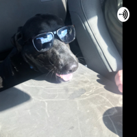One Dog, Two Grumps podcast