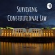 Surviving Constitutional Law