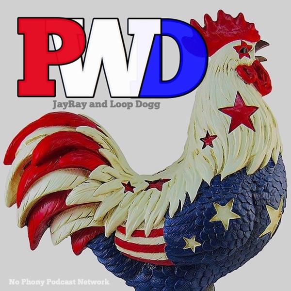 Politics With Dummies podcast show image