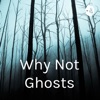 Why Not Ghosts artwork