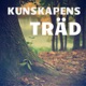 Kunskapens Träd