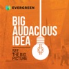 Big Audacious Idea artwork